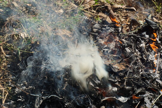 A close-up photo shows a pile of dry leaves, grass and twigs being burned outdoors, producing small flames and thick plumes of white smoke. 