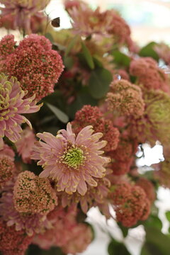 Closeup of Pink Sedum and Mum Flowers in Autumn Bouquet