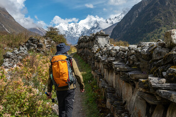 Obraz premium Rear view of tourist walking pass the Mani walls on the way to Kyanjin Gompa village in Langtang valley, Nepal with beautiful view of Mt.Gangchempo.