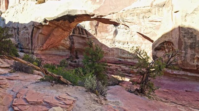 Massive natural sandstone arch spans rugged canyon terrain along Hickman Bridge trail in Capitol Reef National Park Utah