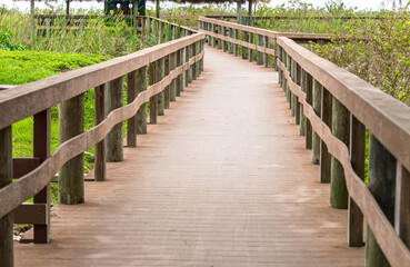 Fototapeta premium Wooden path on swamp in Everglades, Florida, USA