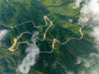 An aerial view shows a winding mountain road through the lush green forests of the Dabie Mountains in Hubei Province of China with light clouds drifting above © AS_SleepingPanda