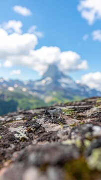 Miniature stone animal on rocky ground with a mountain and sky