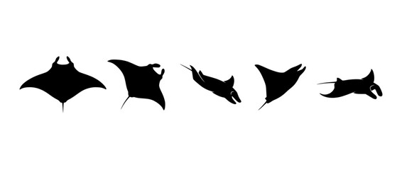 Set of Manta Ray Silhouettes Isolated on Transparent Background © Alfan