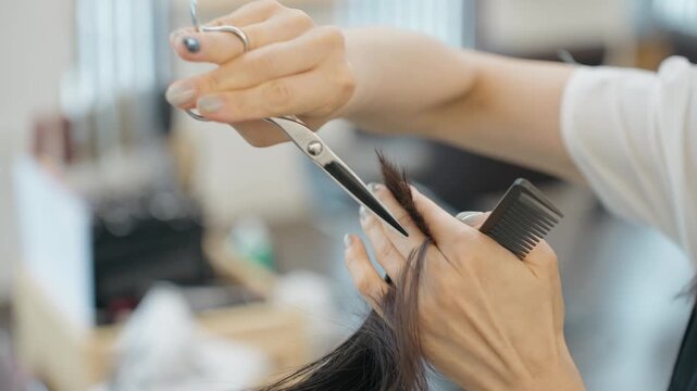 Hairdresser hands hold comb and scissors adjusting hair strand length while trimming ends in close up shot