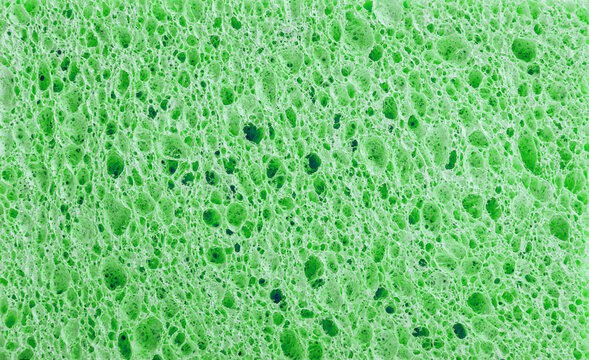 Sponge texture closeup background
