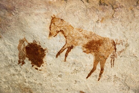 Prehistoric animal depictions, ancient rock carving of the San, indigenous people of South Africa, Seville Rock Art Trail, Cedar Mountains, Clanwilliam, Western Cape, Republic of South Africa