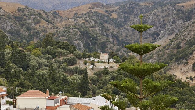 Chapel and cemetery outside the village, forest, Argyroupolis, Lappa, Rethymnon Regional District, Central Crete, Crete Island, Greece