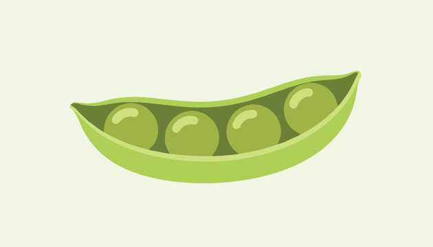 Opened fresh green pea pod with four round shiny peas inside isolated on a minimalist light yellow background.