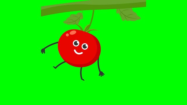 Cute animated tomato character dancing on a vine with green screen background