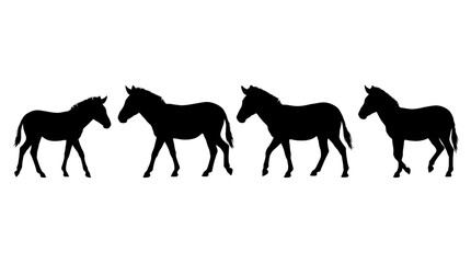 Fototapeta premium zebra realistic black shadow silhouette isolate vector set