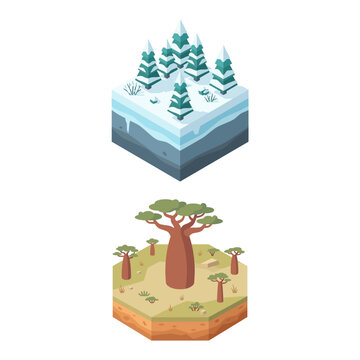 Isometric Forest and Savannah Biome Blocks Featuring Winter Trees and African Baobab Landscape
