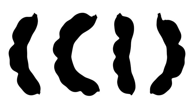tamarind pod realistic black shadow silhouette isolate vector set