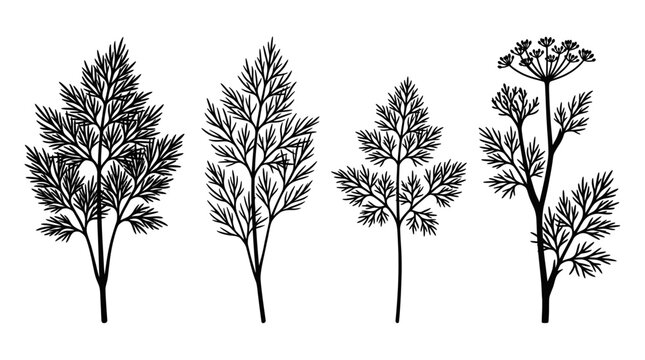 dill realistic black shadow silhouette isolate vector set