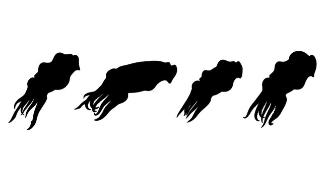 cuttlefish realistic black shadow silhouette isolate vector set