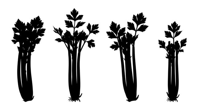 celery stalk realistic black shadow silhouette isolate vector set
