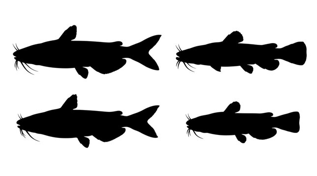 catfish realistic black shadow silhouette isolate vector set