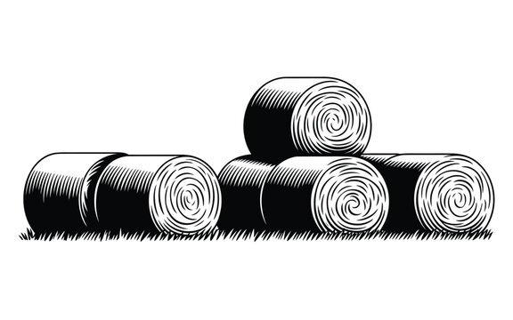 Vintage black and white woodcut line art vector illustration of round hay bales stacked neatly on a grassy field farm