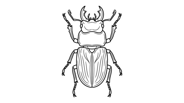 Stag beetle vector illustration in line art style