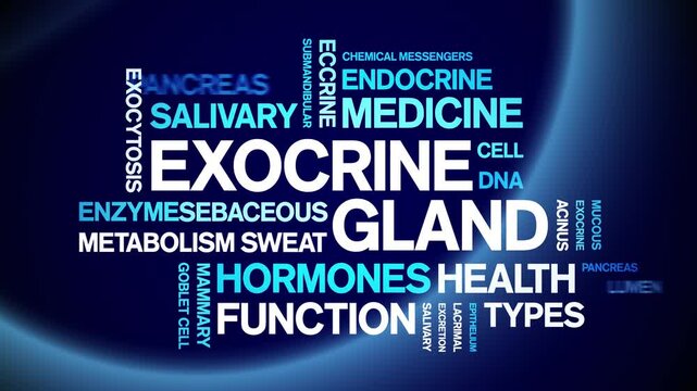 Exocrine Gland animated word cloud-animation tag kinetic typography seamless loop.