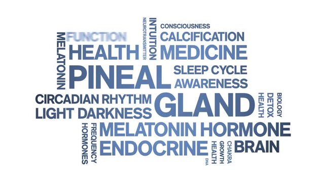 Pineal Gland animated word cloud-animation tag kinetic typography seamless loop.