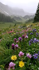 Fototapeta premium Snowy highland meadow filled with colorful wildflowers