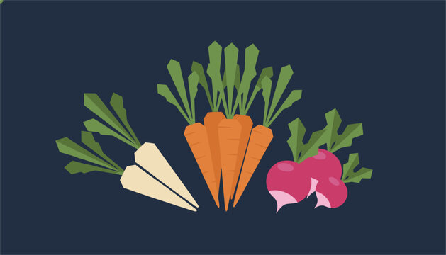 Bundle of fresh vegetables including parsnips, carrots, and red radishes with green tops arranged on a solid dark blue background.