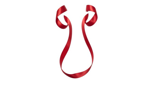 Human kidneys and ureters shape made from red Christmas ribbon on white background