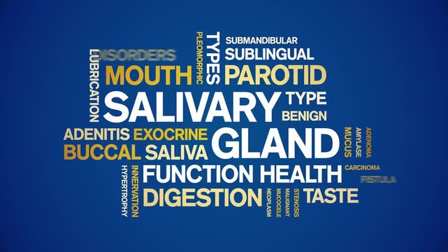 Salivary Gland animated word cloud-animation tag kinetic typography seamless loop.