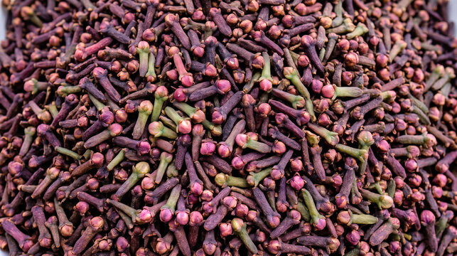 Aromatic dried cloves spice for culinary and medicinal uses