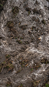 Closeup of dark wet mud and soil with organic matter texture