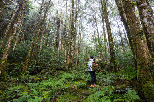 Woman standing inside tall green forest trees in nature