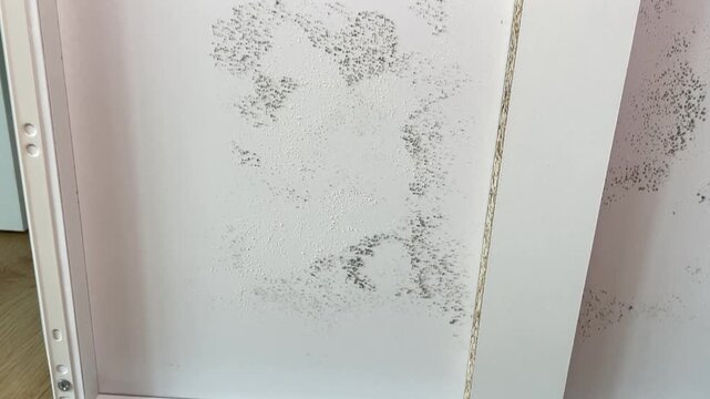 Traces of mold on the bottom of white furniture drawers. Visible fungal growth on the surface of new furniture damaged by high humidity.