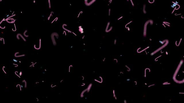 Pink candy cane shapes scatter across a pitch-black background, providing a festive holiday overlay design.