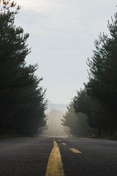 Carretera
