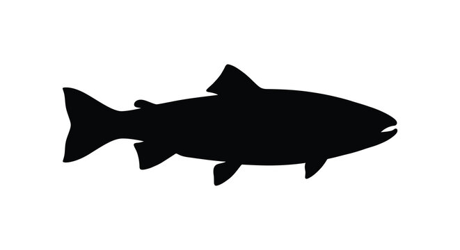 Black silhouette of a fish against a white background