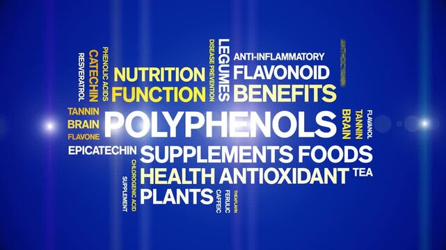 Polyphenols animated word cloud-animation tag kinetic typography seamless loop.