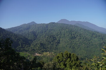 Fototapeta premium Lush Mountain Range and Tropical Forest Landscape Under Clear Blue Sky
