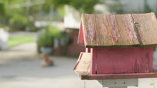 Camera slide revealing a vintage envelope in a garden mailbox