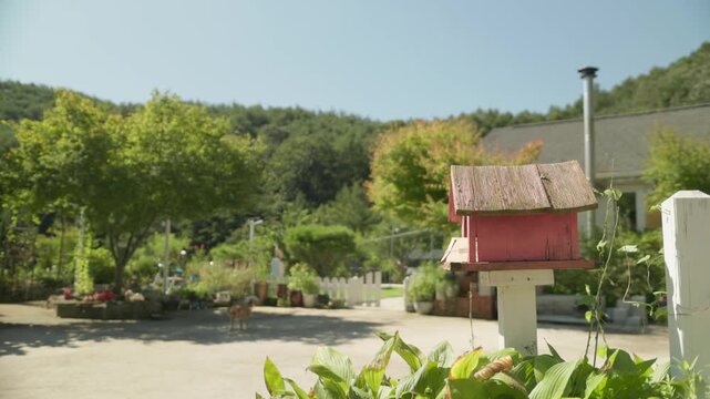 Vintage mailbox in a garden with a dog on a sunny morning