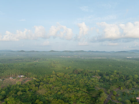 Aerial view of rubber tree plantation and tropical countryside in Thailand under blue morning sky. Green agriculture, rolling hills and sustainable rural land use across the landscape. Sustainability.