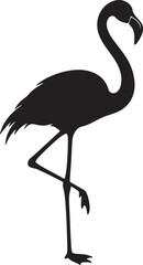 Fototapeta premium Flamingo Bird Silhouette Isolated on White Background