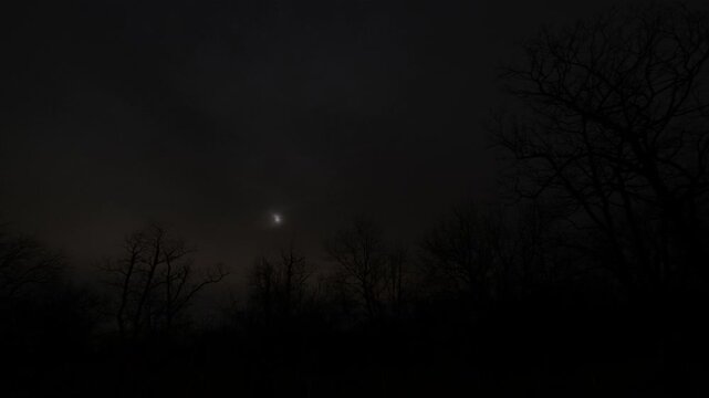 Bright moon glowing through clouds above silhouetted trees during a dark Arkansas night sky, glowing ball of light from total lunar eclipse timelapse