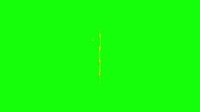 Golden Dollar Currency Sign Animation On Green Screen