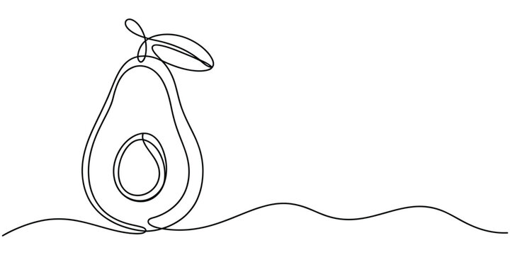 Continuous single line drawing of a fresh avocado fruit with a leaf isolated on a white background Vector, illustration