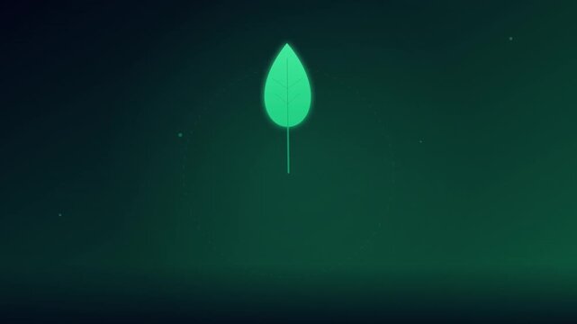 growing green leaf nature vector icon animation