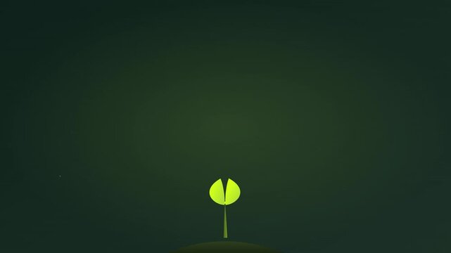 growing green plant sprout nature vector animation