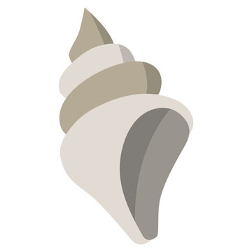 A stylized illustration of a light-colored spiral seashell with a textured surface and an open mouth.