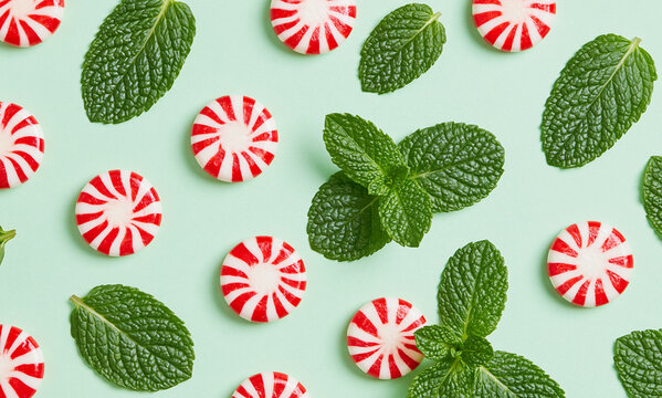 peppermint leaves and peppermint candies