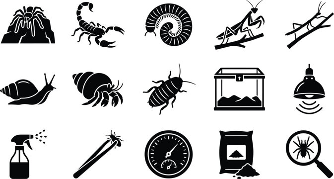 Black silhouettes of insects terrarium equipment and tools on a white background